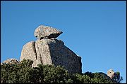 06DSC_9097