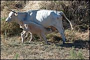 06DSC_9115