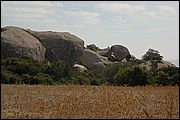 06DSC_9166