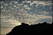 06DSC_9325