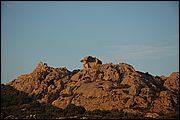 06DSC_9326