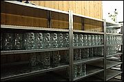 Monaco - Oktoberfest 2006