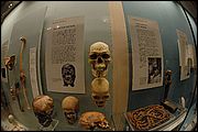 British Museum