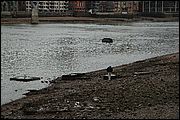 Londra