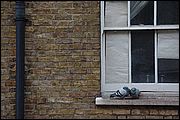 Londra