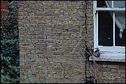 Londra