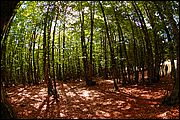 Abruzzo (Italia)
