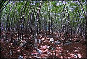 Abruzzo (Italia)