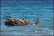 Budoni - Sardegna