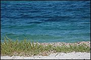 Budoni - Sardegna