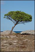 Budoni - Sardegna