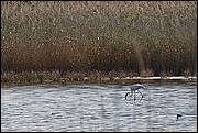 Budoni - Sardegna