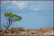 Budoni - Sardegna