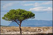Budoni - Sardegna