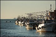 Canale di Fiumicino (Rm)