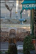 Canale di Fiumicino (Rm)