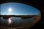 Oasi WWF di Macchiagrande (Fregene RM)