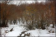 Abruzzo - Italia