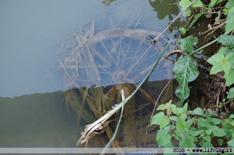 Wheel in the water - Pietromassimo Pasqui 2008