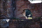 Terme di Caracalla - Roma