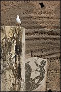 Terme di Caracalla - Roma