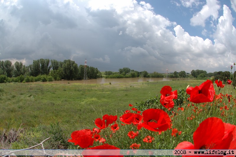 Esondazione dell'Aniene - Roma Tiburtino - Pietromassimo Pasqui 2008