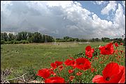 Esondazione dell Aniene - Roma Tiburtino