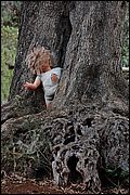 In the tree