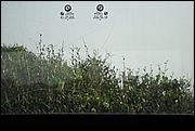 09DSC00986