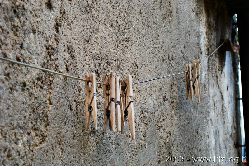 Alessandria del Carretto (CS) - Radicazioni 2009 - Pietromassimo Pasqui 2009