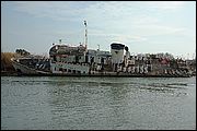 Foce del Tevere - RM