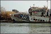 Foce del Tevere - RM