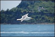 09DSC_4047