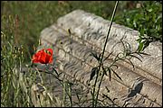 Ostia Antica - RM