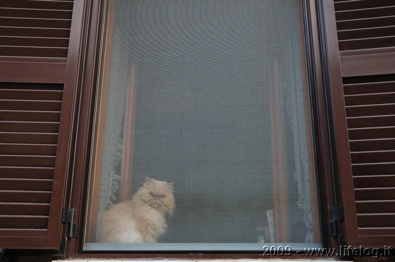 The observer - Pietromassimo Pasqui 2009