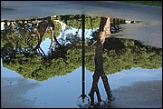 Reflections