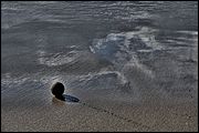 10DSC_0208_tm
