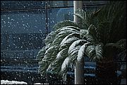 Neve a Roma
