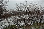 Neve a Roma
