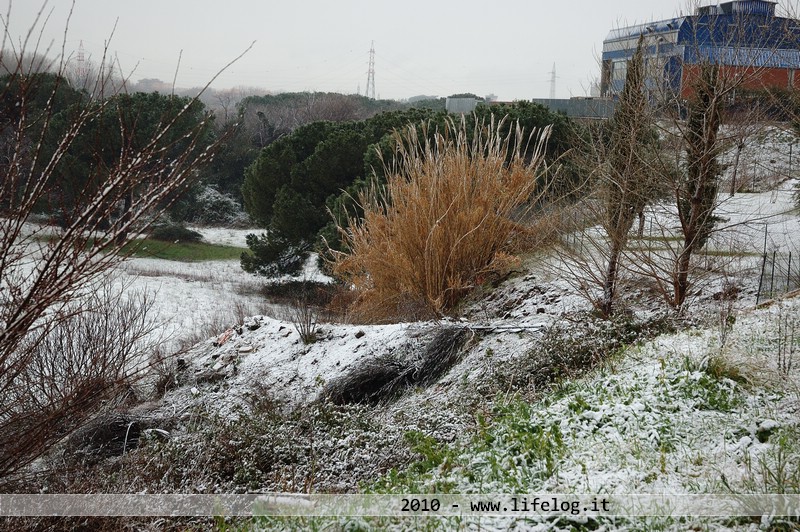 Neve a Roma - Pietromassimo Pasqui 2010