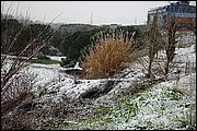 Neve a Roma