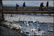 Lucerna - Svizzera