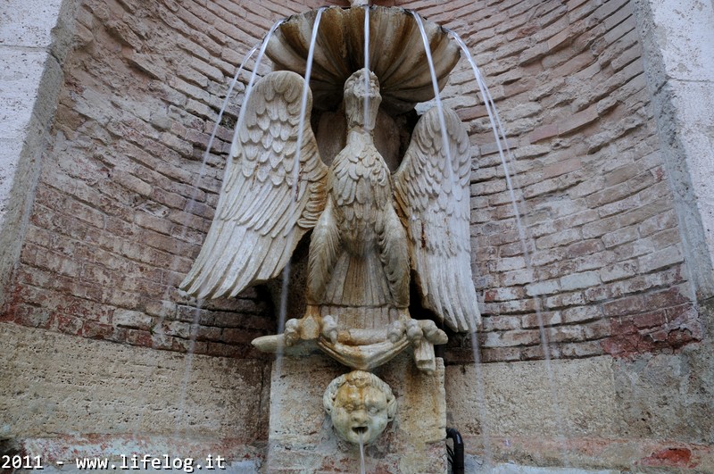 Todi (VT) - Pietromassimo Pasqui 2011