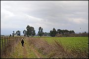 Norchia (VT)