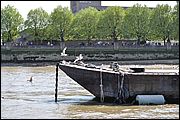 Thames - London UK