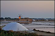Saline di Mozia - Sicilia
